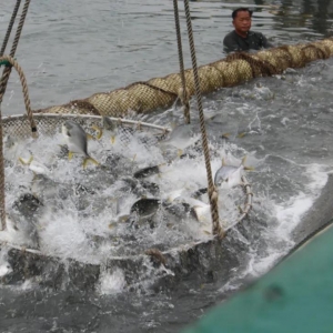 ���K�~�����Г��߃r��ٍ��10�fԪ/�䣡