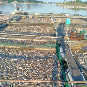 һҹ֮�g���~��ɽ��27���Bֳ���pʧ2000�f