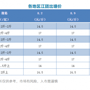 ���ַ�����2021��8��9��ȫ�����F���^��r