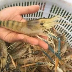 ȫ���ϝq��2021��8��9���_�r���߹����r���^��r