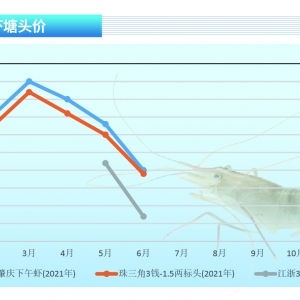 �_�����r������»����Ј�(ch��ng)�M(j��n)�뼯�������ڡ�����ˮ�a(ch��n)ǰ�ء�2021��7�¿��Ј�(ch��ng)څ��(sh��)