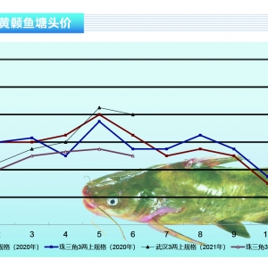 �S��~���ߜ�Ӱ��\ݔ��ͨ�����~�oȱ�����~�r������ˮ�aǰ�ء�2021��7�¿��Ј�څ��