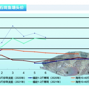 ʯ���~���������~�r�µ���څ�ڷ���������ˮ�aǰ�ء�2021��7�¿��Ј�څ��