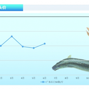 ���q��������Ӱ푣��\ݔ���裬���r�񲨄Ӳ��󡪡���ˮ�aǰ�ء�2021��7�¿��Ј�څ��