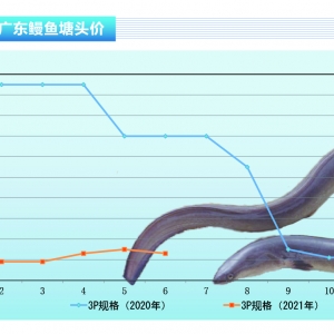 ���~������Ј����ձ��Ј��r���µ�������ˮ�aǰ�ء�2021��7�¿��Ј�څ��