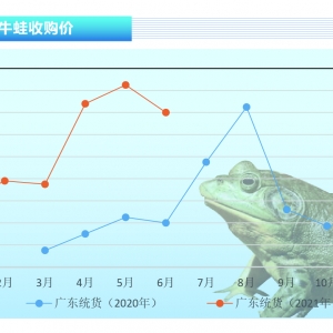 ţ�ܣ����B���w���B���ֻŒ��ۣ��r����F���ӡ�����ˮ�aǰ�ء�2021��7�¿��Ј�څ��