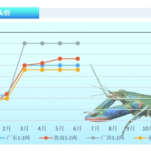 ���޵�ˮ���r��ȫ��Ͷ������Y��������ȱ�r���q������ˮ�aǰ�ء�2021��7�¿��Ј�څ��