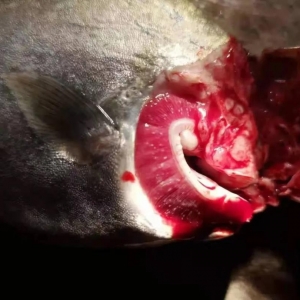 ���K�~�r(ji��)������µ�1.5Ԫ/��