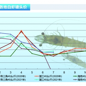 ���r��ȫ���r�rȫ���µ���������ⲡ�r�ࡪ����ˮ�aǰ�ء�2021��8�¿��Ј�څ��