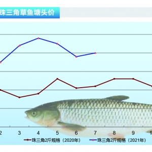 ���~�����~�r��(w��n)����λ��С�~�r�����l��������ˮ�a(ch��n)ǰ�ء�2021��8�¿��Ј�څ��