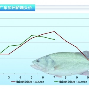 �����|�����~�Bֳ�e�O�Ըߣ�����ˮ���q�r������ˮ�aǰ�ء�2021��8�¿��Ј�څ��