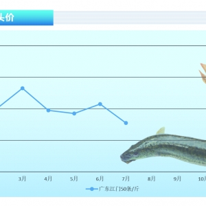 ���q���r��qڅ�ڷ������µ״��~����ӭ��q�r������ˮ�aǰ�ء�2021��8�¿��Ј�څ��