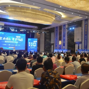 ����ը�����ο���������100�f���B�r�ߵ�