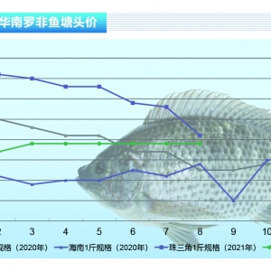 �_���~�������r���r�������S��̎���~��ُ������ˮ�aǰ�ء�2021��9�¿��Ј�څ��