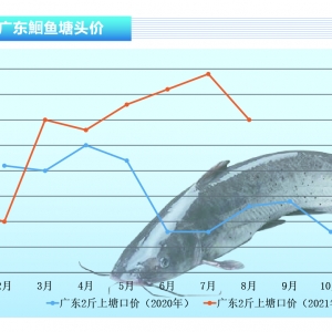 �t�~�������^�m���q��Ҏ���~������ˮ�aǰ�ء�2021��9�¿��Ј�څ��