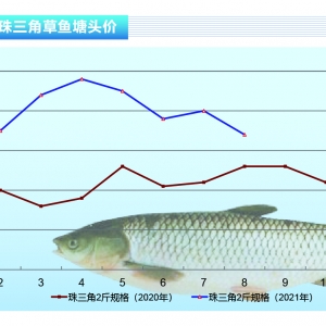 ���~������������m(x��)���У�����������څ�ݡ�����ˮ�a(ch��n)ǰ�ء�2021��9�¿��Ј�څ��
