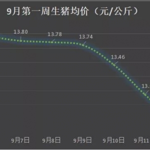 ���~���~�r����1.4Ԫ���p�����M�����ӻ؝q��