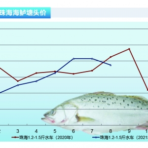 ���|���^�����~�������r��ȫ���»�������ˮ�aǰ�ء�2021��9�¿��Ј�څ��