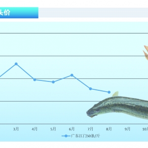 ���q������ƣܛ������(r��n)���gС�����hС�~(y��)���ߡ�����ˮ�a(ch��n)ǰ�ء�2021��9�¿��Ј�(ch��ng)څ��(sh��)