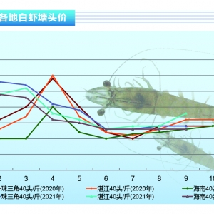���r��ӭ����ѹ��r���N���p�p�߸ߡ�����ˮ�aǰ�ء�2021��10�¿��Ј�څ��
