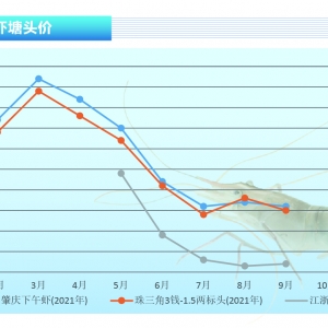 �_�����r�������մ��M���M�����w�r�r�ϝq������ˮ�aǰ�ء�2021��10�¿��Ј�څ��