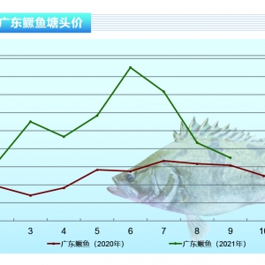 �Z�~�����~�������^�r��Ѹ�ٻ��䡪����ˮ�a(ch��n)ǰ�ء�2021��10�¿��Ј�څ��