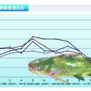 �S��~�����~���У������»����@������ˮ�a(ch��n)ǰ�ء�2021��10�¿��Ј�څ��