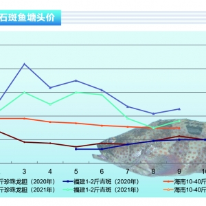 ʯ���~���������w�~�r(ji��)С���ϝq������ˮ�a(ch��n)ǰ�ء�2021��10�¿��Ј�څ��