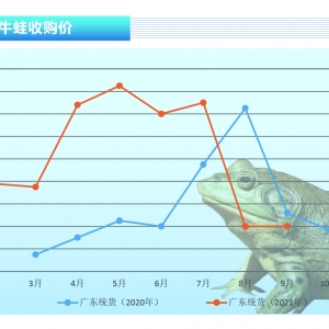 ţ�ܣ����|�󷶇����w������܃r(ji��)�ȵ���؝q������ˮ�a(ch��n)ǰ�ء�2021��10�¿��Ј�څ��