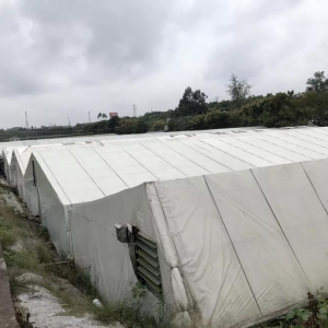 �˹���ˮ�B(y��ng)���׌�(du��)�r��100Ԫ/�