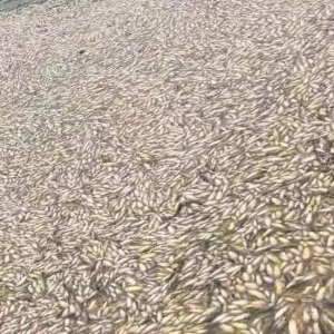 ���Ͳ�����(l��i)�u�����~���ѓp�����f(w��n)�