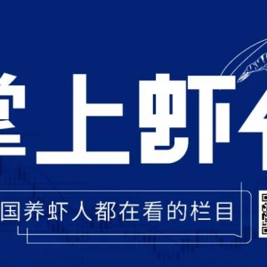 �q��3Ԫ/������|��տ���r�r(ji��)�j�q��