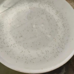 �����|ˮ���a�������s30%-40%��