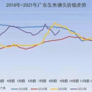 ���gͻ�������~�^���ϱȵ���0.937��