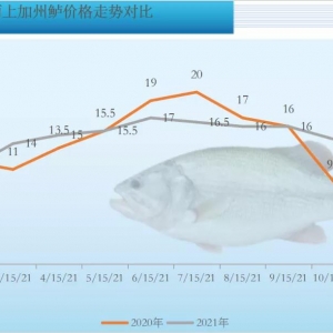 �����|�������B(y��ng)���^���������飬���t���~