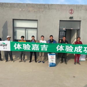 100%�ɹ�����λ��|�B(y��ng)�r����Մ׃��֮��