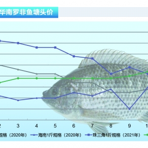 �_���~�����غ����S���ӣ��ӹ��S���ӝq�r������ˮ�aǰ�ء�2021��11�¿��Ј�څ��