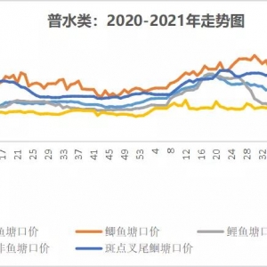 �i�r(ji��)�B�m(x��)���q5����ʮ���~�r(ji��)�Ĺ��c(di��n)Ҫ������