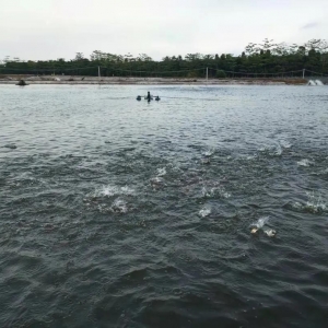 �����|�����|�������韩��������ըȺ�_ˮ��