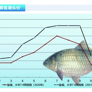 �a�~(y��)�����������������_(k��i)ʼ��(w��n)������ˮ�a(ch��n)ǰ�ء�2021��11�¿��Ј�(ch��ng)څ��(sh��)