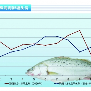 ���|���д�Ҏ���~���F����ȱ؛���r�����{������ˮ�aǰ�ء�2021��11�¿��Ј�څ��