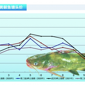 �S��~�����������»����@���Ϸ��Ј����Ў��q������ˮ�aǰ�ء�2021��11�¿��Ј�څ��