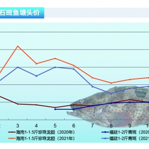 ʯ���~�����¸�Ʒ�N�r����F�^����硪����ˮ�aǰ�ء�2021��11�¿��Ј�څ��