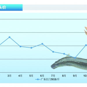 ���q��СҎ�����q�r��؝q������ˮ�aǰ�ء�2021��11�¿��Ј�څ��