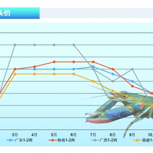 ���޵�ˮ���r��ȫ����r��������������p����������ˮ�a(ch��n)ǰ�ء�2021��11�¿��Ј�څ��