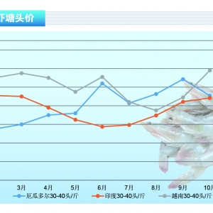 �����r�r��ȫ���ϝq��ӡ�ȱ��ף�Խ�����؄�(chu��ng)��������ˮ�a(ch��n)ǰ�ء�2021��11�¿��Ј�څ��