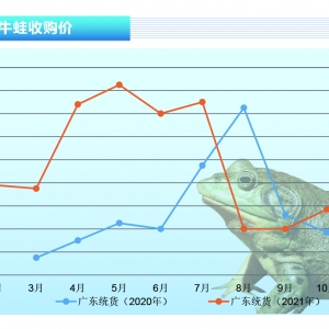 ţ�ܣ����a(ch��n)�^(q��)����(y��ng)���F(xi��n)ȱ�ڣ��܃r�ϝq������ˮ�a(ch��n)ǰ�ء�2021��11�¿��Ј�څ��