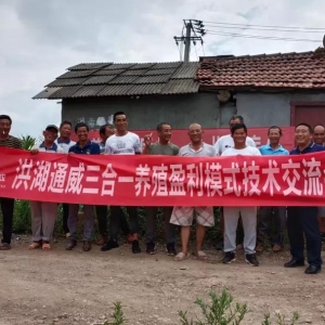 ͨ����һ��ɼ��~��ģʽ�Ĕ������@�BֳȦ