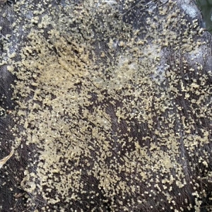 ��������|ˮ������@ô���ˣ�