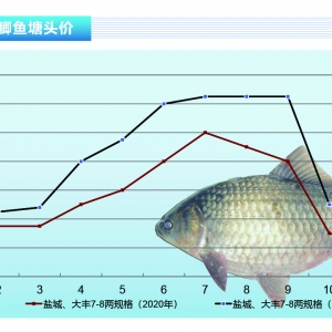 �a�~(y��)����СҎ(gu��)���a�~(y��)���Ј�(ch��ng)�gӭ������ˮ�a(ch��n)ǰ�ء�2021��12�¿��Ј�(ch��ng)څ��(sh��)